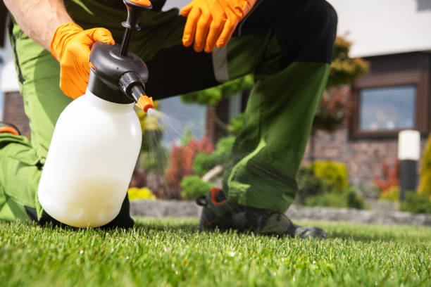 Best Affordable Pest Control Services  in New Sharon, IA