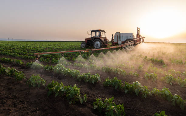 Insect Control in New Sharon, IA