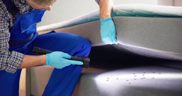 Best Bed Bug Extermination  in New Sharon, IA