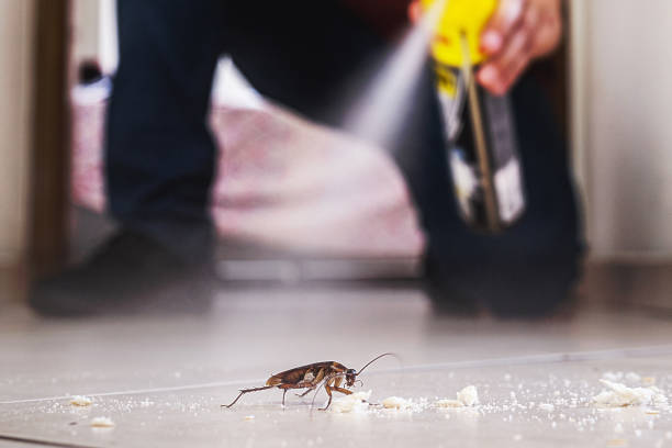 Best Pest Control Near Me  in New Sharon, IA