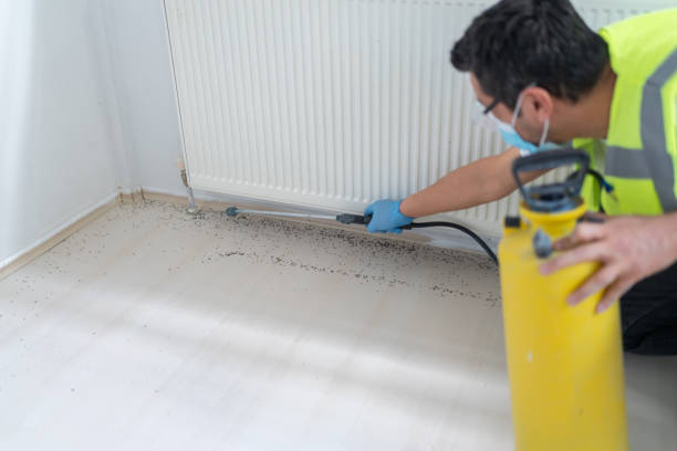 Best Mosquito Control Services  in New Sharon, IA