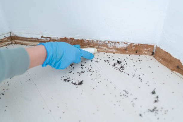 Best Pest Inspection Near Me  in New Sharon, IA